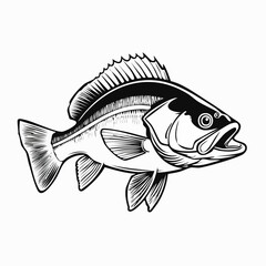 Angler Fish Vector. Black and white Angler Fish Vector Illustration.
