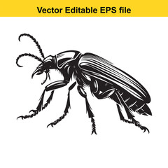 Detailed Black and White Illustration of a Beetle A Striking Vector Graphic with Intricate Line Work and Emphasis on Anatomical Detail