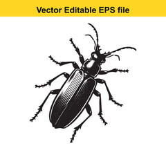 Detailed Engraving of a Stag Beetle Illustration Black and White Arthropod Design Vector Drawing of Insect with Prominent Mandibles and Spiked Legs