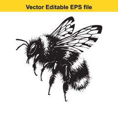 Detailed Black and White Illustration of a Fuzzy Bumblebee in Flight Vector Drawing with Stippled and Textured Shading