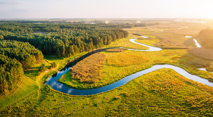 Serene river winds through lush greenery during golden hour in tranquil countryside landscape.