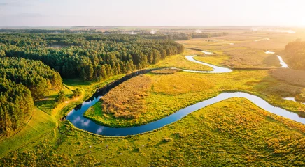 Gordijnen Bos rivier Serene river winds through lush greenery during golden hour in tranquil countryside landscape.  © Leonid Tit
