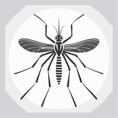 Aedes Aegypti Mosquitoes Logo Vector Icon Stock Vector on white background.