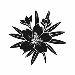 Oleander Flower Image vector. Black and white Oleander Flower Image vector isolated on white background.