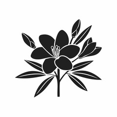 Oleander Flower Image vector. Black and white Oleander Flower Image vector isolated on white background.