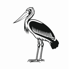 Marabou Stork Bird image vector On White Background Stock Vector