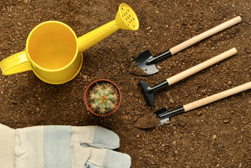 Cactus, watering can and gardening tools on soil