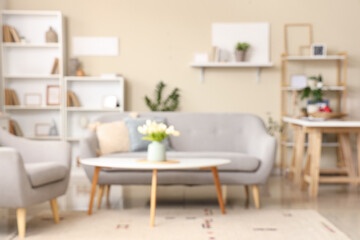 Interior of stylish living room with sofa, coffee table and shelving unit, blurred view