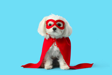 Cute little dog in superhero costume on blue background