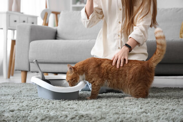 Woman with cute cat and litter box at home, closeup