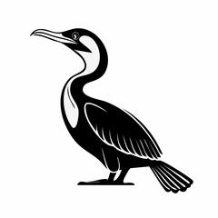Cormorant Vector Art. Black and white Cormorant Birds Vector isolated on white background.