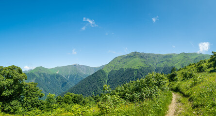 Lagodekhi National Park landscape with mountains and forests in Georgia. Hiking in Lagodekhi National Park