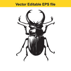 Detailed Stag Beetle Illustration Striking Black and White Depiction of a Majestic Insect Specimen