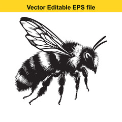 Detailed Vector Illustration of a Bee Portraying Intricate Wing and Body Details Depicting a Natural World Theme