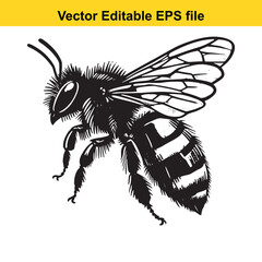 Detailed Black and White Illustration of a Honeybee Showing Wings Body and Antennae in Striking Detail Ideal for Educational Purposes