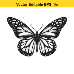 Elegant Monarch Butterfly Illustration Graceful Black and White Design for Nature Inspired Creativity and Artistic Projects Vector Style