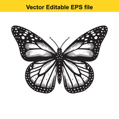 Detailed Butterfly Illustration Black and White Vector Graphic Design Featuring Intricate Wing Patterns and Delicate Antennae For Creative Projects