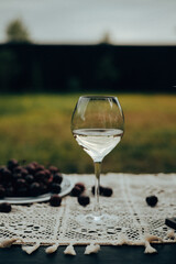 A glass of white wine and a plate of cherries on a table outside on a sunny day. A refreshing glass of white wine alongside a plate of ripe cherries on a table outdoors, ready for enjoyment.