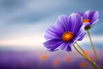 Vibrant purple flowers with intricate petals and bright orange centers, gently swaying in a soft breeze against a blurred background of pastel colors, serene and tranquil atmosphere in nature