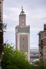 Grand Mosque of Paris in the Latin Quarter  in spring, view of the minaret, France