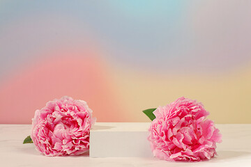 Empty podium with beautiful peony flowers. Abstract floral arrangement, banner. Creative template for your design. Minimal modern aesthetics, elegant beauty concept