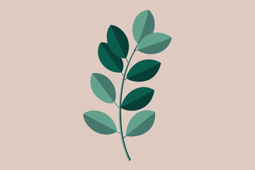 Eucalyptus Flatlay with Soft Shadowing