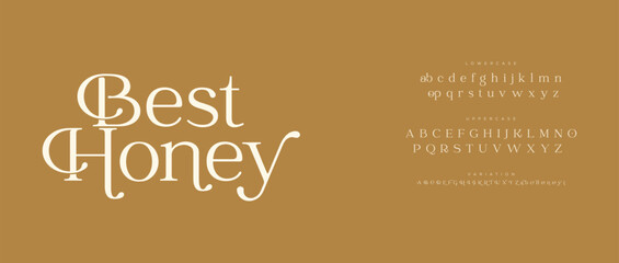Best honey Font Uppercase Lowercase And Number. Classic Lettering Minimal Fashion Designs. Typography modern serif fonts regular decorative vintage concept. vector illustration