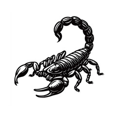 silhouette photo of scorpion on white background