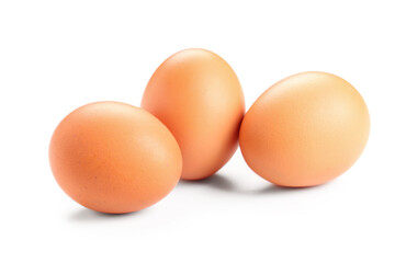 Brown chicken eggs on white background