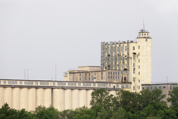 Large abandoned grain silo facility with weathered towers, numerous metal pipes, and industrial structures, partially obscured by trees under cloudy skies.