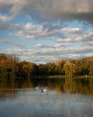 autumn landscape with lake