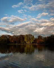Fototapeta premium autumn trees reflected in a lake