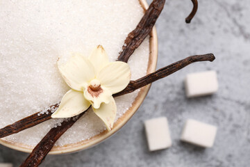 Bowl of vanilla sugar with pods and flower on grey background, closeup