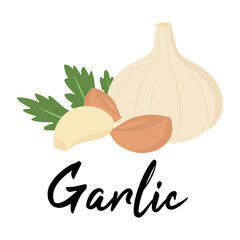 Organic Garlic Bulb and Cloves Isolated on White Background – Fresh Natural Vegetable