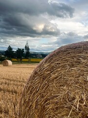 A series of scenic rural landscape images featuring large round hay bales scattered across a...