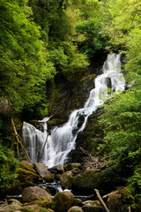 waterfall in the forest