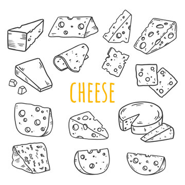 Cheese in sketch style, black and white illustration. Slice of cheese isolated on white. Different types of cheese. Food Vector illustration
