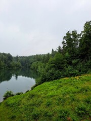 Fototapeta premium river in the forest. In cloudy weather with a cloudy sky.