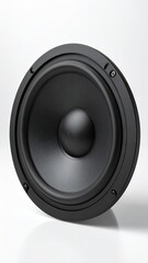 A closeup view of a circular black speaker driver set against a white background