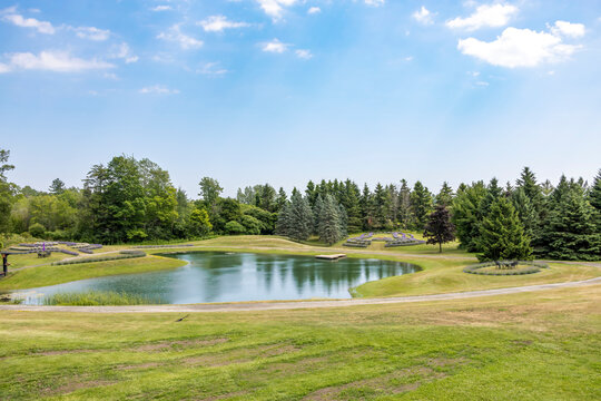 A serene lavender farm in southern Ontario near Ajax, showcasing lush greenery and tranquil beauty.