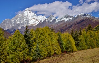 Fototapeta premium 四川省 四姑娘山ハイキング