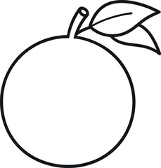 Minimalist Cara Cara Orange Line Art with Leaves Vector