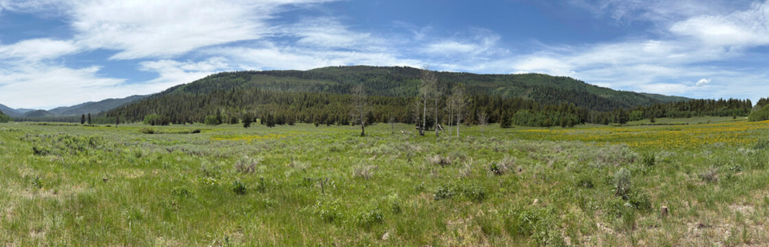 Panorama of Caribou National Forest in Idaho