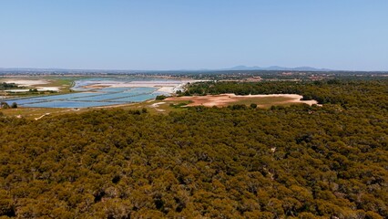 Scenic landscape with salt flats and dense forest under a clear blue sky