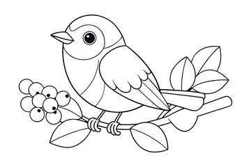 A cartoon robin on a berry branch for kids coloring book vector illustration.