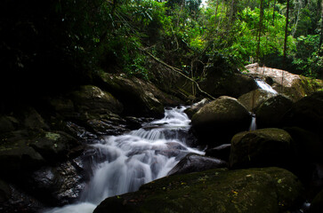 waterfall in the forest