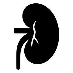 Human Kidney Anatomy Detailed Silhouette Illustration