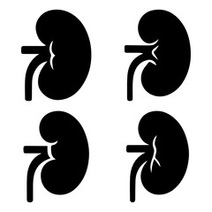 Human Kidney Anatomy Illustrations of Healthy and Diseased Kidneys