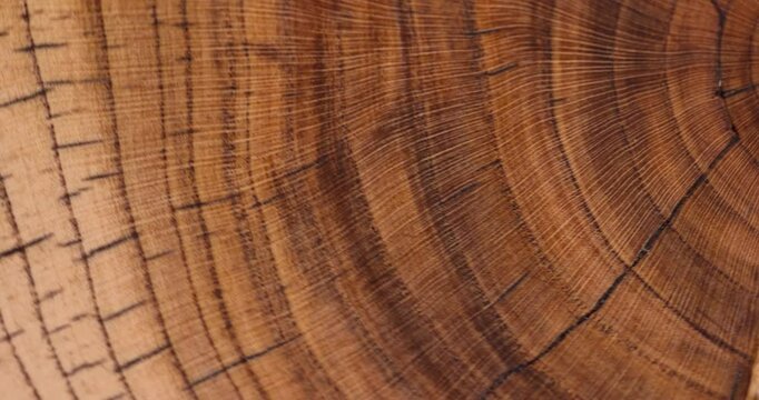 processed beautiful walnut wood used for the manufacture of objects, cracked board
