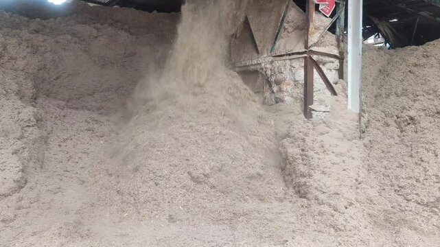 Video 4k of Sugarcane bagasse, a sugar mill byproduct, reused as eco-friendly fuel&mdash;sustainable energy from agricultural waste.